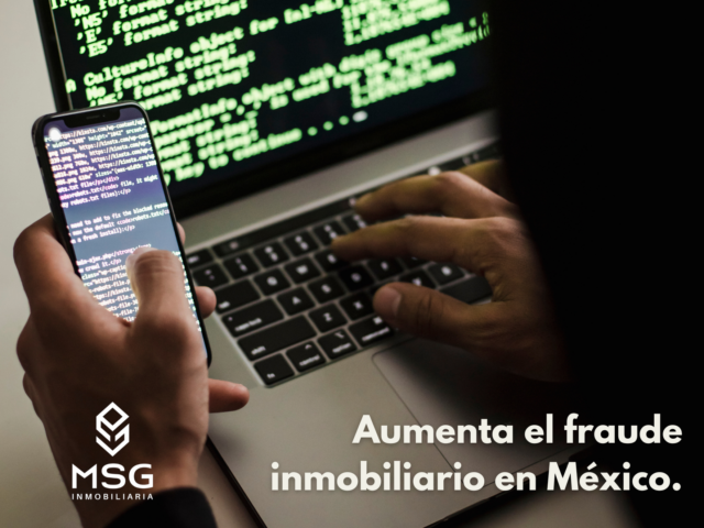 Fotos linkedin (4)