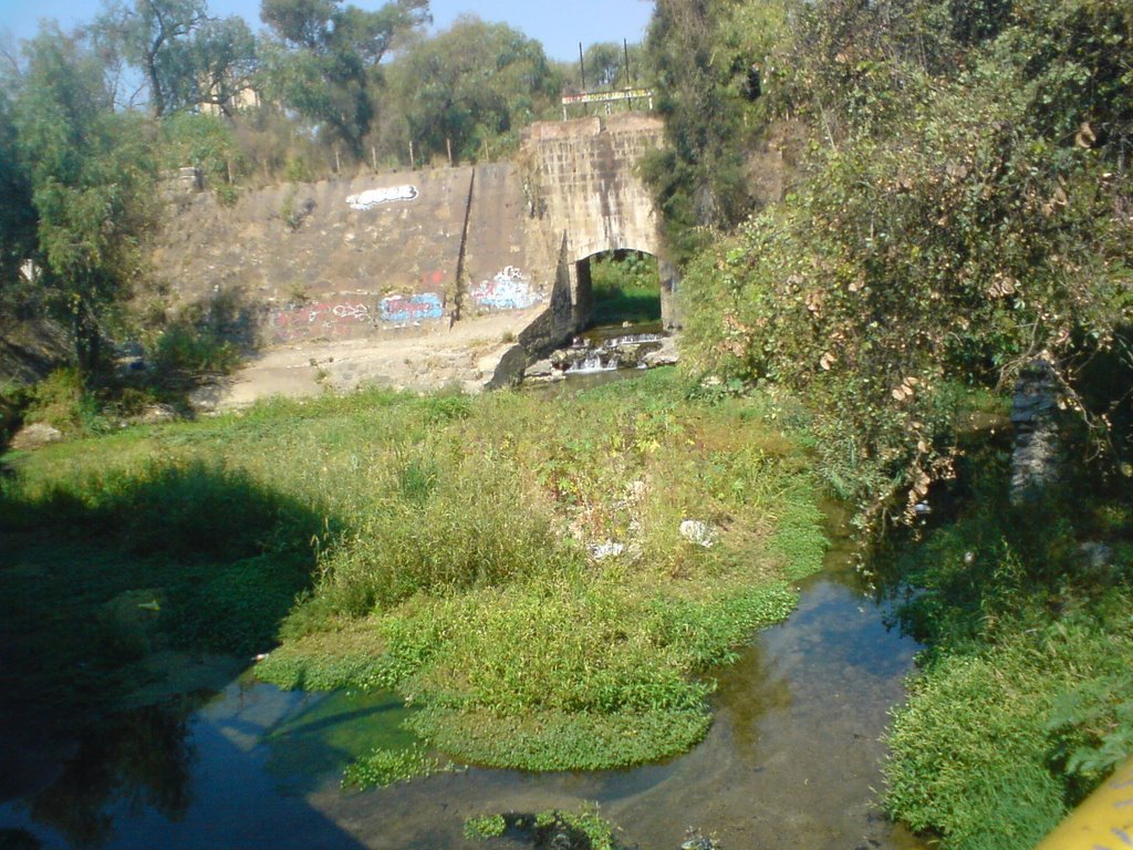 presa zoquipan